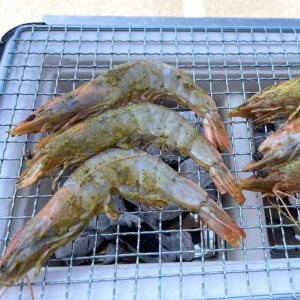 RUB Des Iles - Mélange d'épices pour le poisson – Coco & Estragon