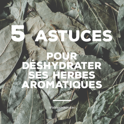 5 Astuces pour déshydrater vos Herbes aromatiques